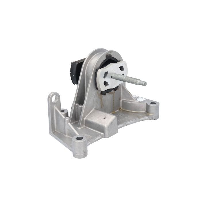 Variklio montavimas BIRTH 52186