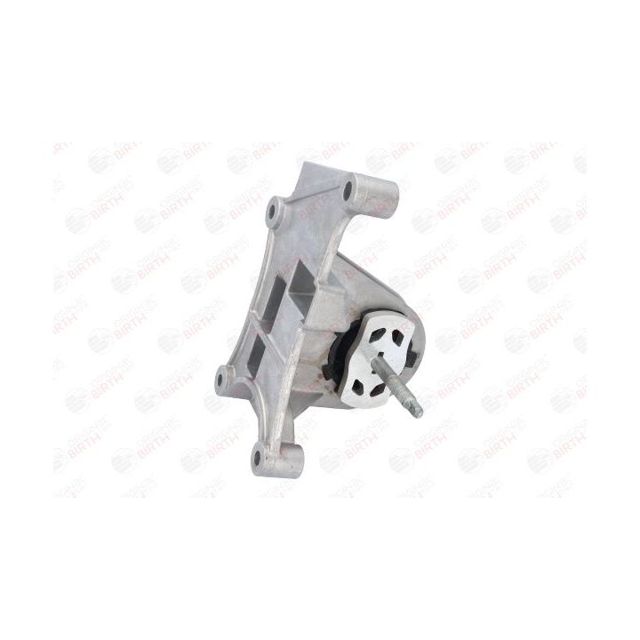 Variklio montavimas BIRTH 52186