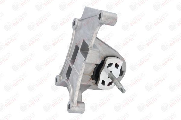 Variklio montavimas BIRTH 52186