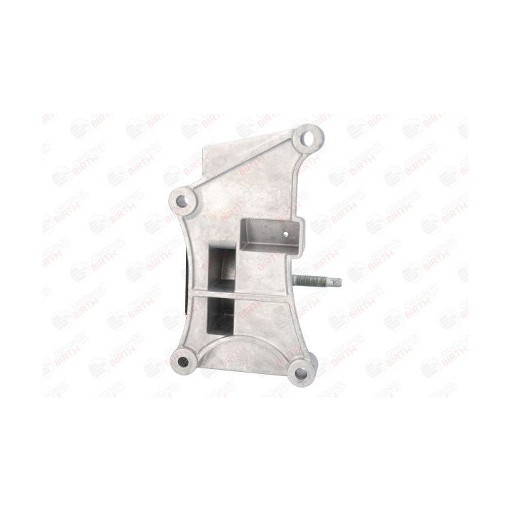 Variklio montavimas BIRTH 52186