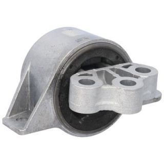 Variklio montavimas BIRTH 52189