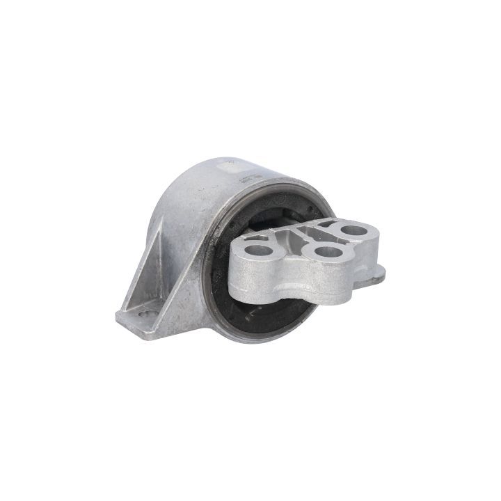 Variklio montavimas BIRTH 52189