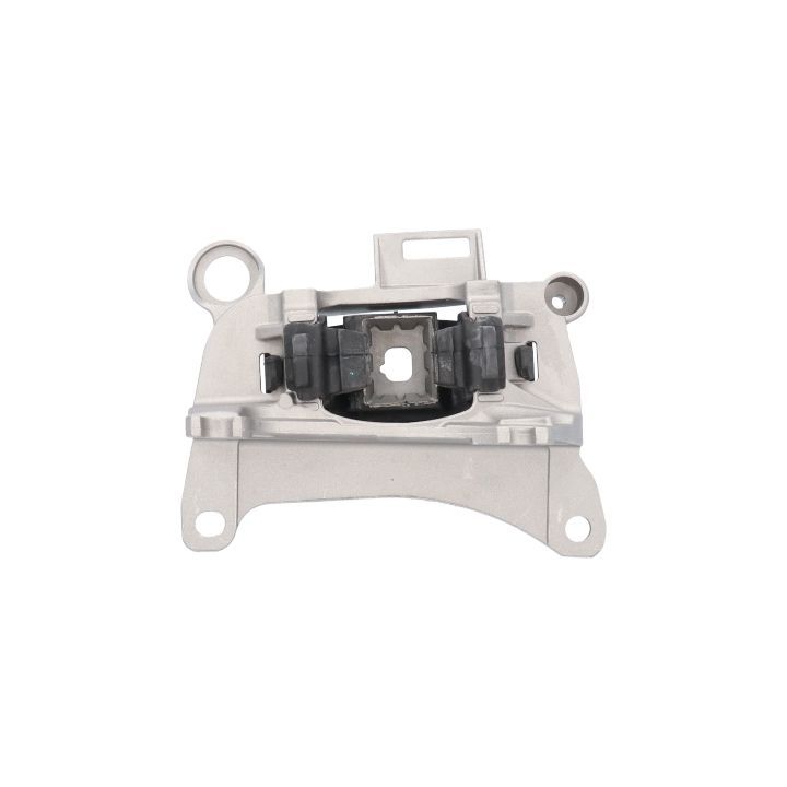 Variklio montavimas BIRTH 52201