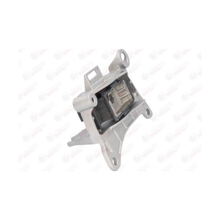 Variklio montavimas BIRTH 52201