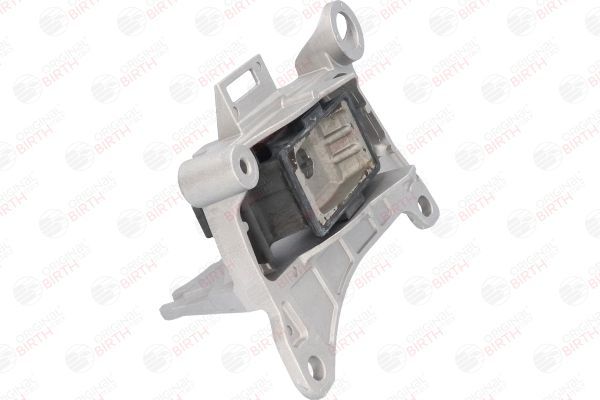 Variklio montavimas BIRTH 52201