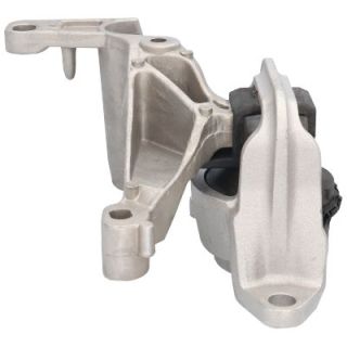 Variklio montavimas BIRTH 52202