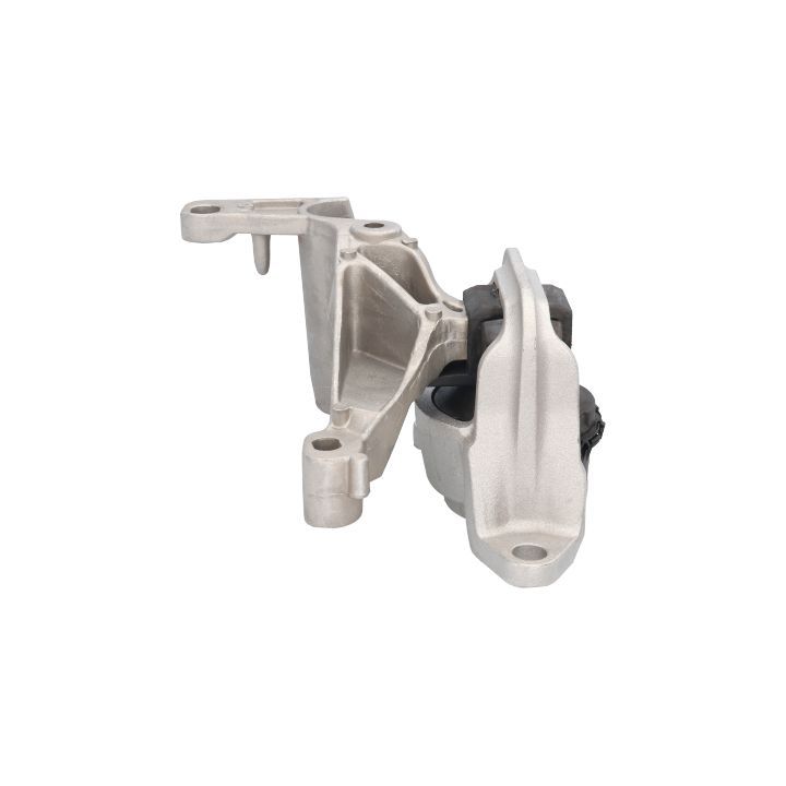 Variklio montavimas BIRTH 52202