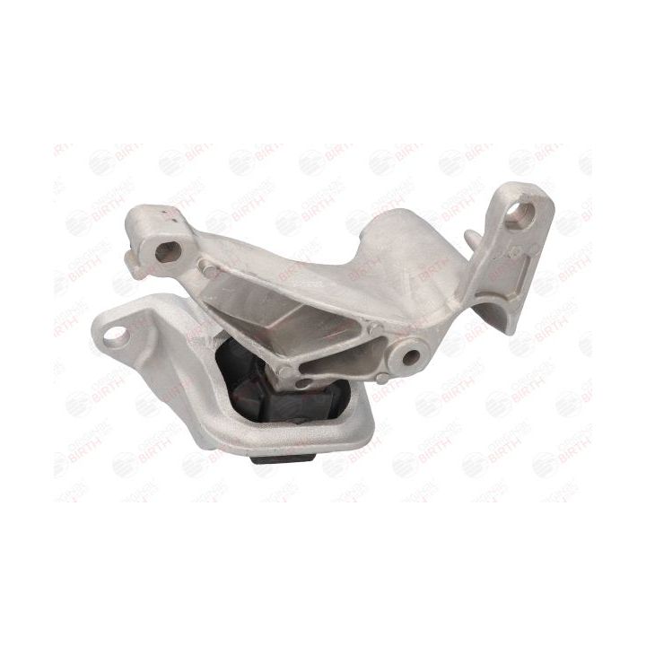 Variklio montavimas BIRTH 52202