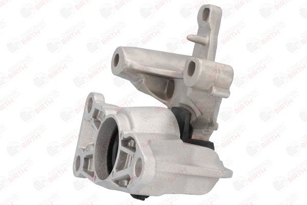 Variklio montavimas BIRTH 52202