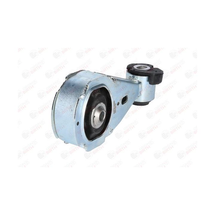 Variklio montavimas BIRTH 52204