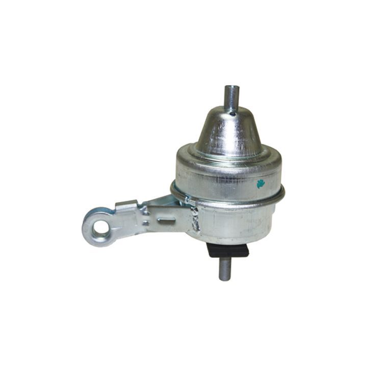 Variklio montavimas BIRTH 52206