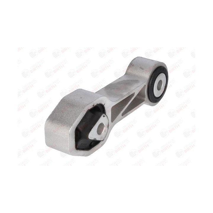 Variklio montavimas BIRTH 52210