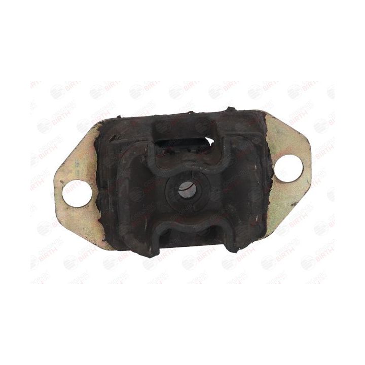 Variklio montavimas BIRTH 52223