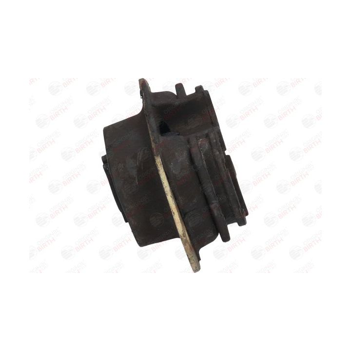 Variklio montavimas BIRTH 52223