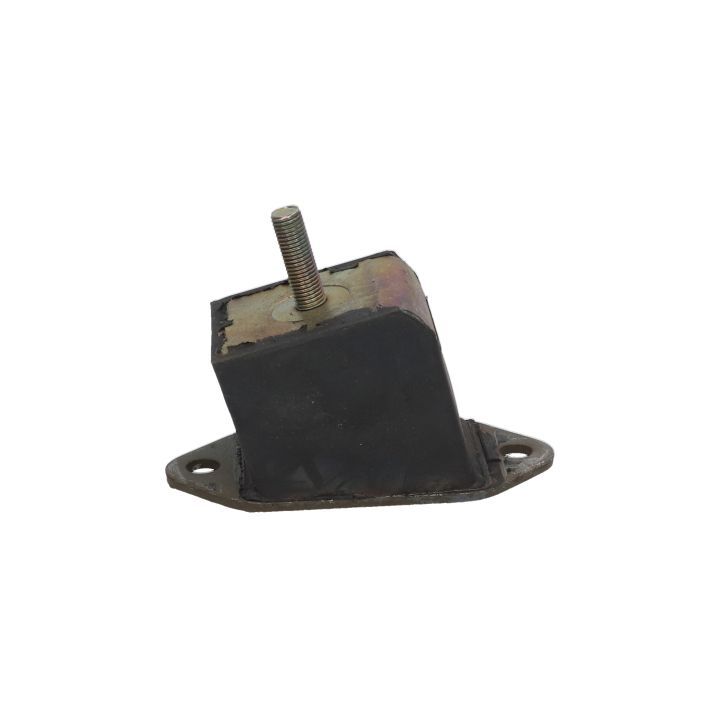 Variklio montavimas BIRTH 5224