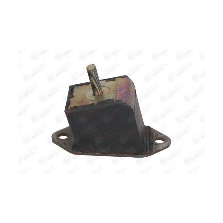 Variklio montavimas BIRTH 5224