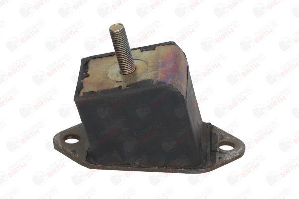 Variklio montavimas BIRTH 5224