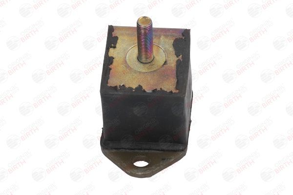 Variklio montavimas BIRTH 5224