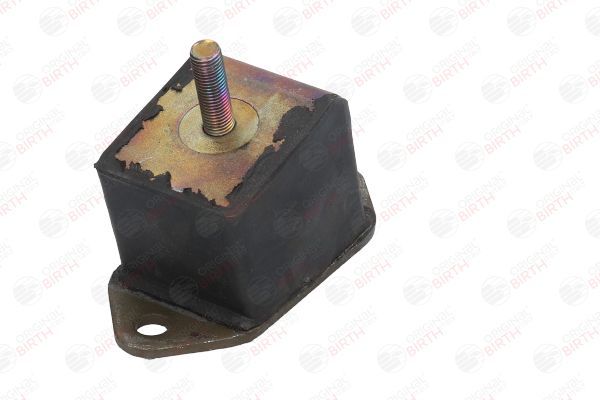 Variklio montavimas BIRTH 5224