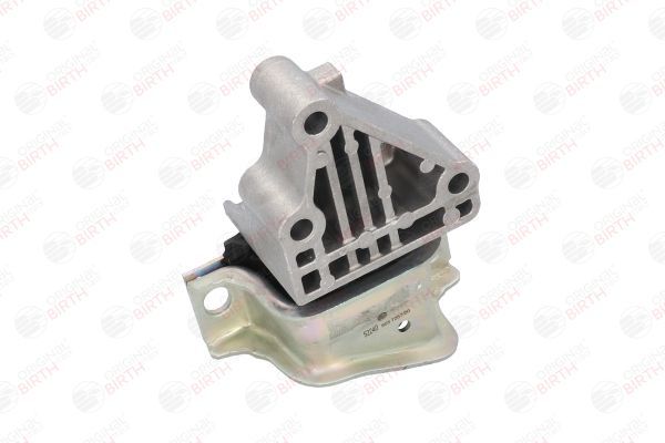 Variklio montavimas BIRTH 52240