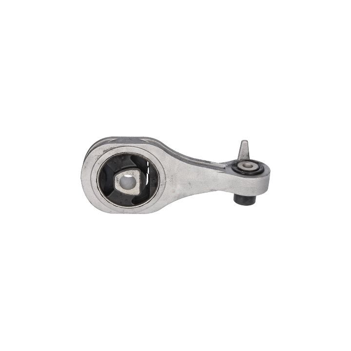 Variklio montavimas BIRTH 52241