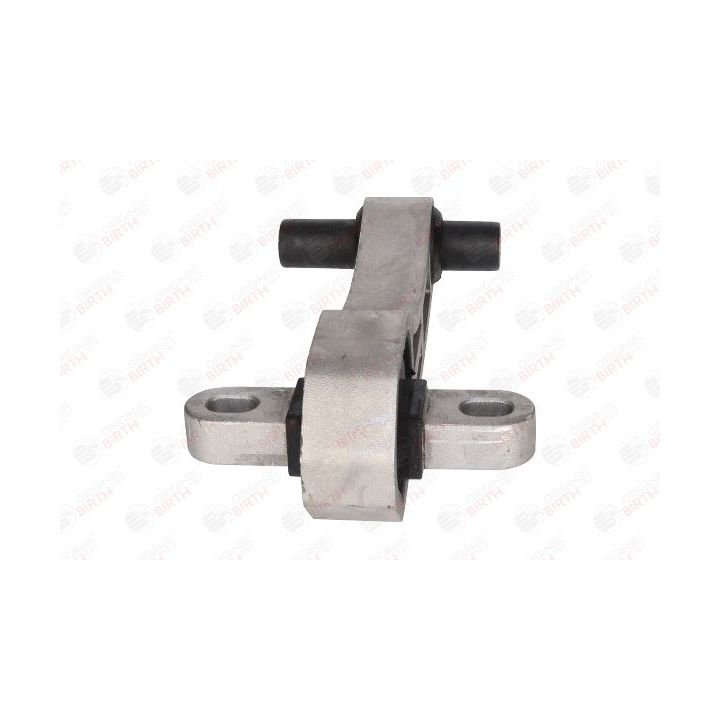 Variklio montavimas BIRTH 52242