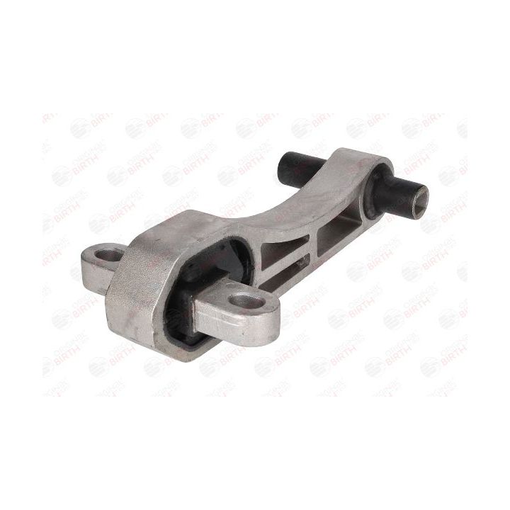 Variklio montavimas BIRTH 52242