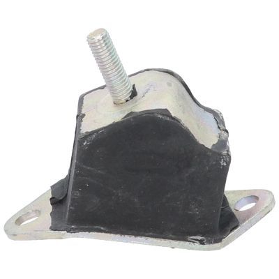 Variklio montavimas BIRTH 5225