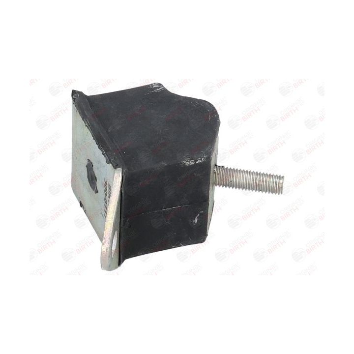 Variklio montavimas BIRTH 5225