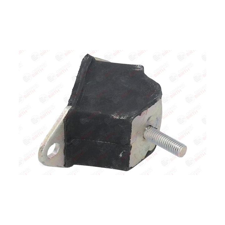 Variklio montavimas BIRTH 5225