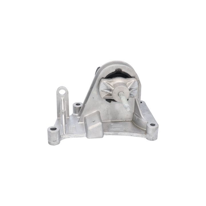 Variklio montavimas BIRTH 52258