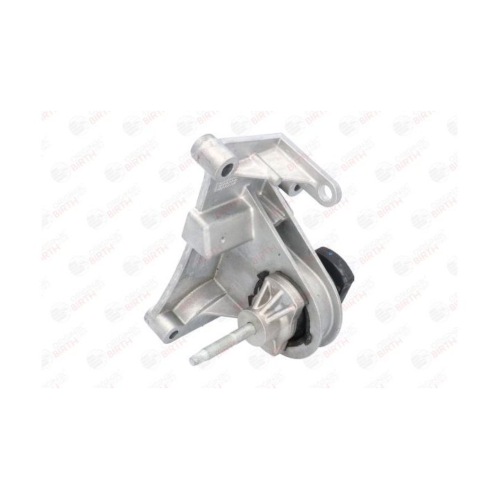 Variklio montavimas BIRTH 52258