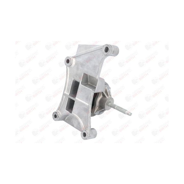 Variklio montavimas BIRTH 52258