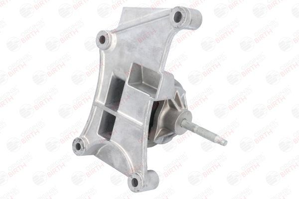 Variklio montavimas BIRTH 52258