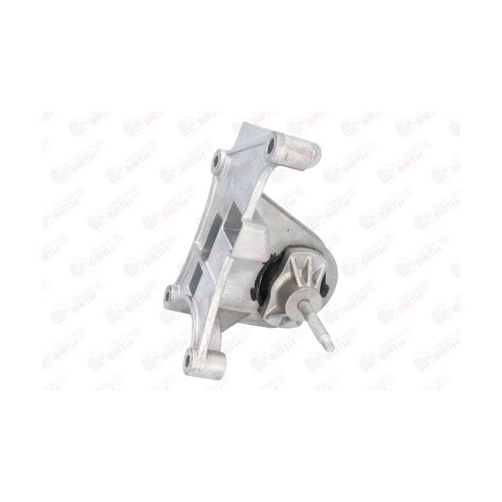 Variklio montavimas BIRTH 52258