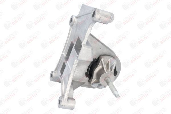 Variklio montavimas BIRTH 52258