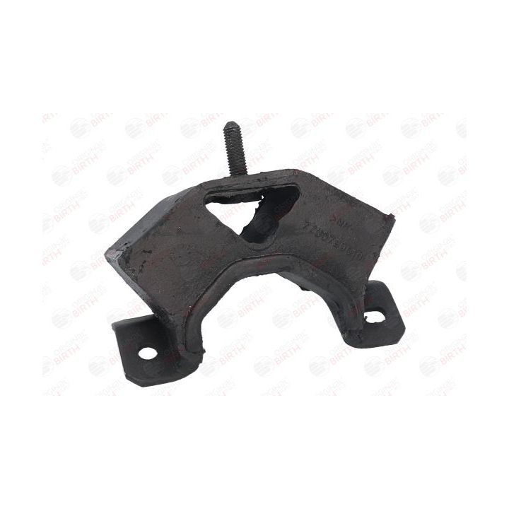 Variklio montavimas BIRTH 5226