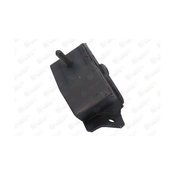 Variklio montavimas BIRTH 5226