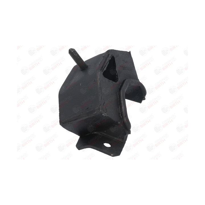 Variklio montavimas BIRTH 5226