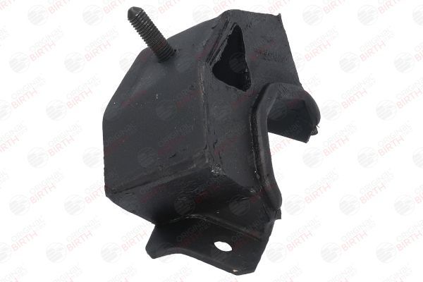 Variklio montavimas BIRTH 5226