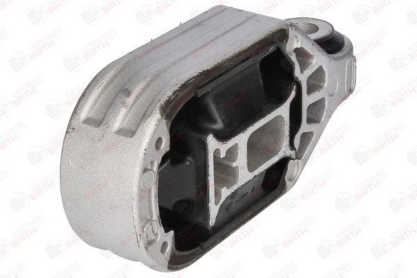 Variklio montavimas BIRTH 52272