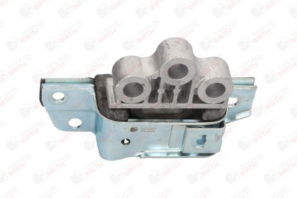 Variklio montavimas BIRTH 52290