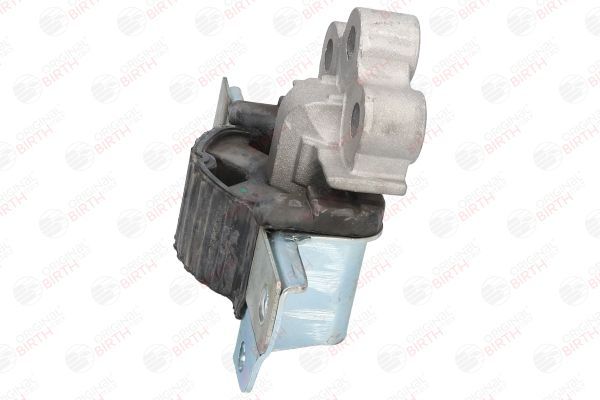 Variklio montavimas BIRTH 52290