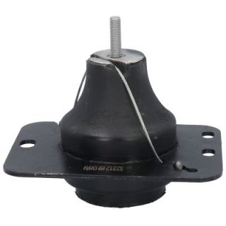 Variklio montavimas BIRTH 52312