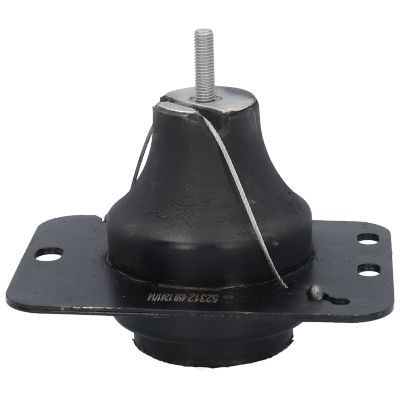 Variklio montavimas BIRTH 52312