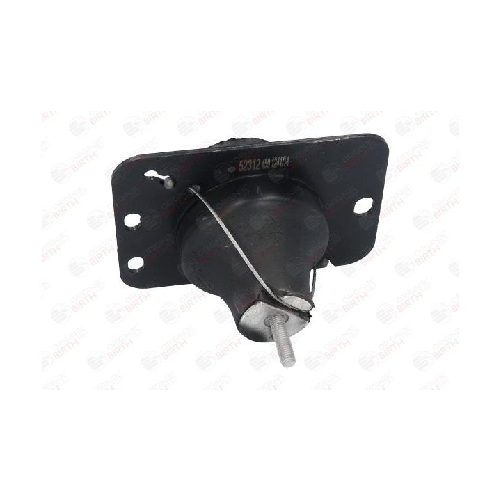 Variklio montavimas BIRTH 52312