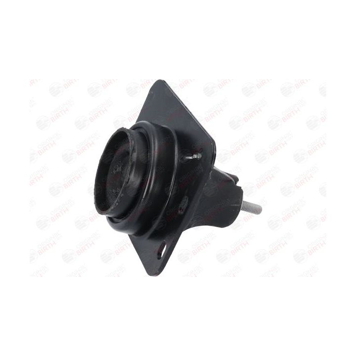 Variklio montavimas BIRTH 52312