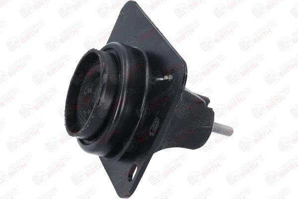 Variklio montavimas BIRTH 52312