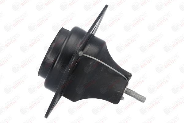 Variklio montavimas BIRTH 52312