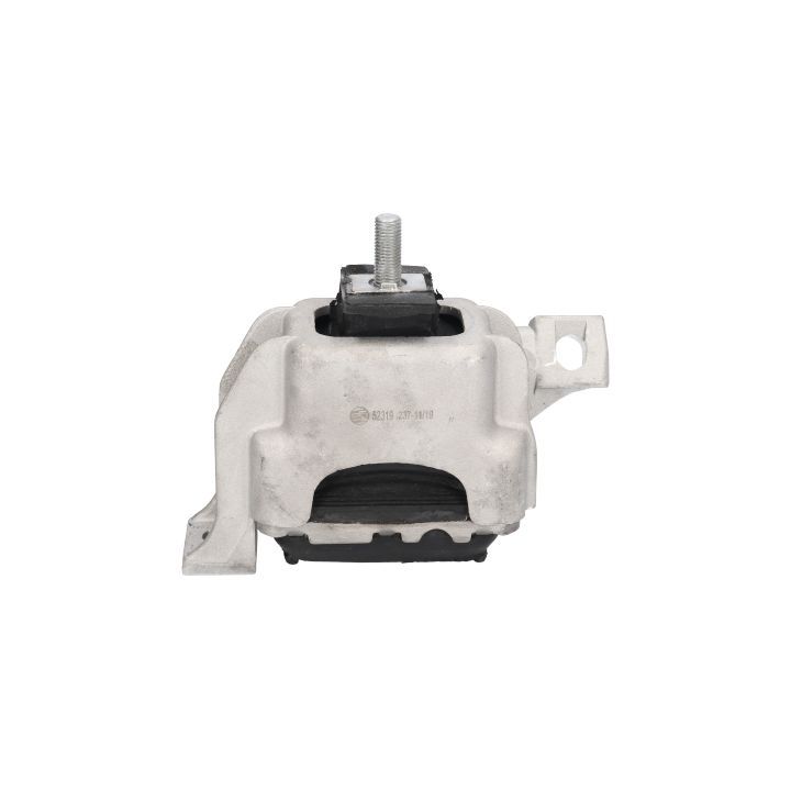 Variklio montavimas BIRTH 52319